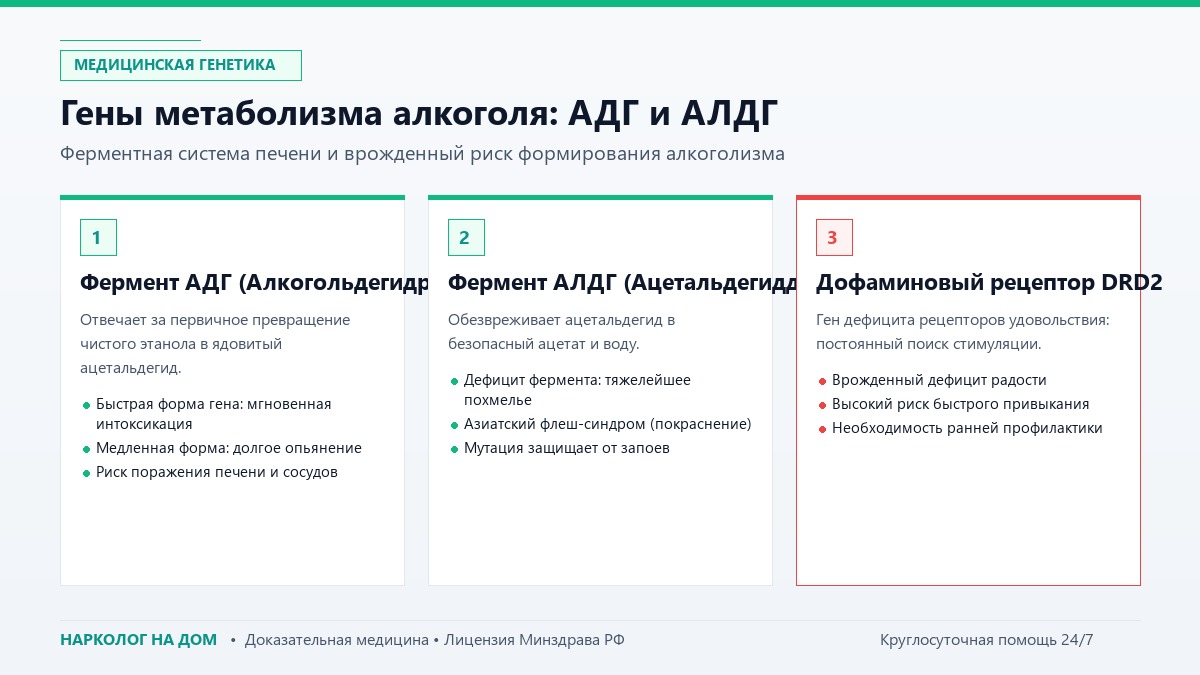 Гены метаболизма алкоголя: АДГ и АЛДГ